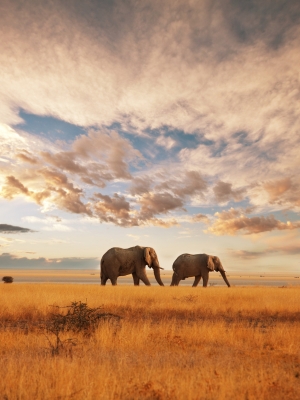 Kenya